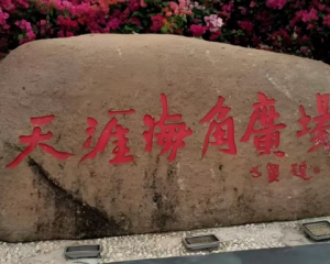 天涯海角是什么生肖